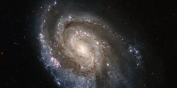 SN 2013ek: Another Stellar Explosion In NGC 6984