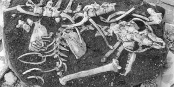 The Cave Of Death: 10 Million B.C.
