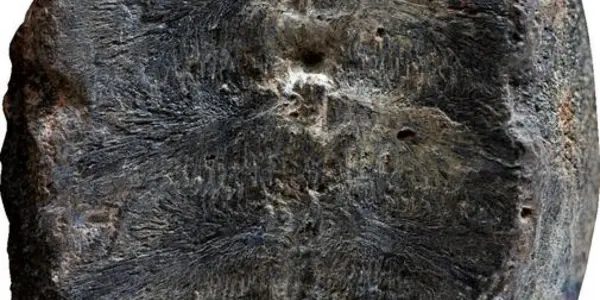 Featured Image