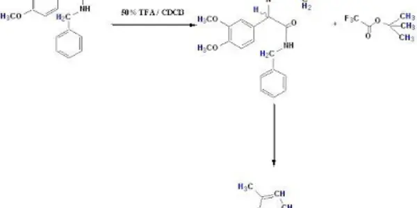 Fishing for Organic Chemists