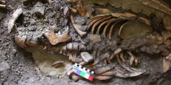 Ice Age Isolation Led To 'Fourth Strand' Of European Ancestry