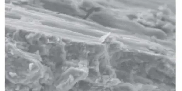 Slow Earthquakes May Predict Normal Ones
