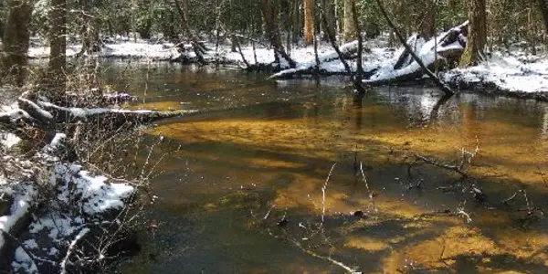Another Cause Of Antibiotic Resistance - Old Nuclear Plants, Says Ecologist