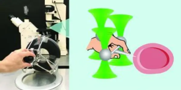 Haptic Optical Tweezers Let You Touch The Microcosmos