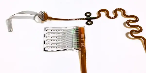 Featured Image