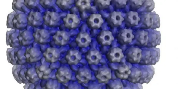 Your Viruses Could Reveal Your Travel History, And More