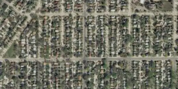 Homogenization Hypothesis: First World Problems Of Urban Lawn Care