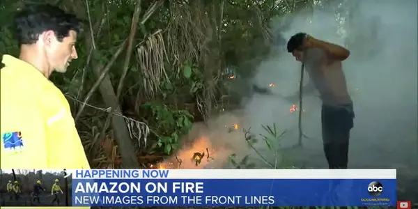With Such Fierce Fires, Why Doesn't Entire Rainforest Burn Down? Answers For Scared People - And Positive Developments In Brazil