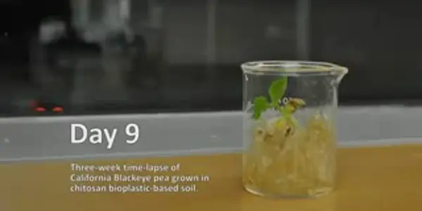New Bioplastic Even Encourages Plant Growth In The Environment