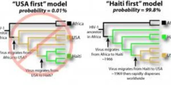 The Migration Pattern Of HIV: Africa, Haiti, Then The World