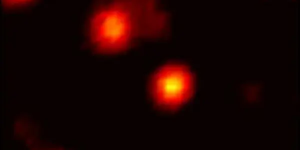 Fluorescent Nanoparticles Could Help Track Molecules Through A Living Cell