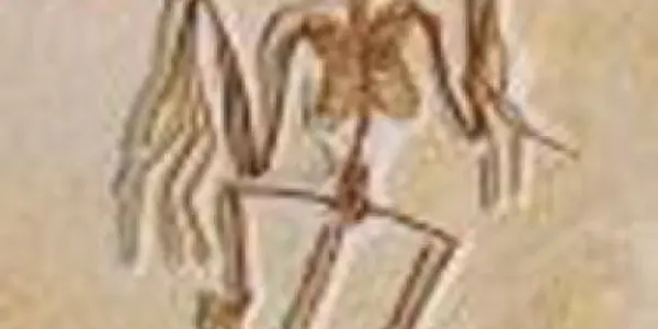 Bats: Fossils Show Flying Came Before Echolocation