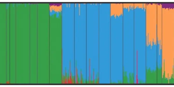 Using Our Genomes To Reconstruct Human Geography