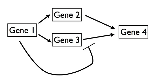 The Problem is Too Much Biological Complexity