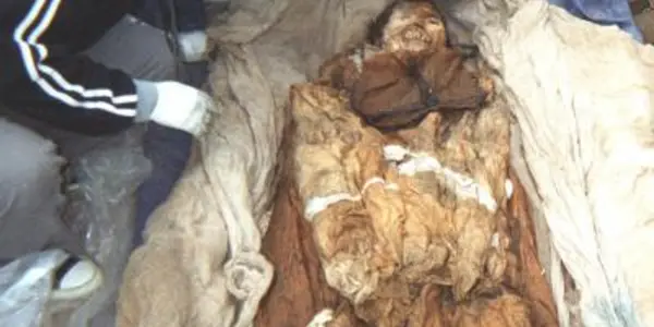 Korean Mummy Had Hepatitis B?
