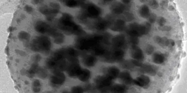 Transhuman Topics: Unethical Nanotechnology