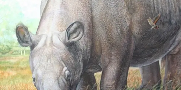 Darwin's ‘Strangest Animals Ever Discovered’ Solved