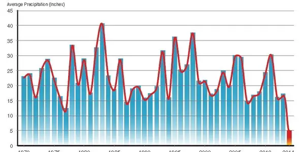 California Government Is The Big Water Management Problem