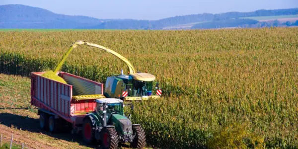 Your Vegetable Garden Won't Save You In A Pandemic - Farming Will