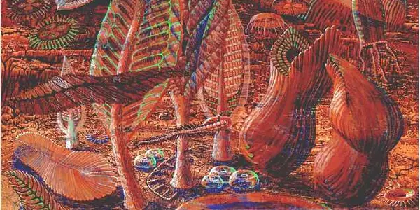 Our Human Ancestors Had Tentacles