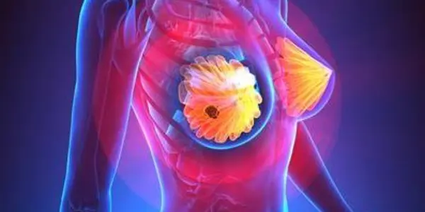 Marine Sponge Material Inhibits Cancer