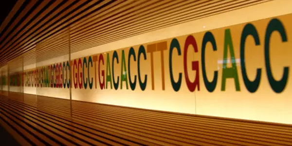MicroRNA, The Puppet Master Of The Genome