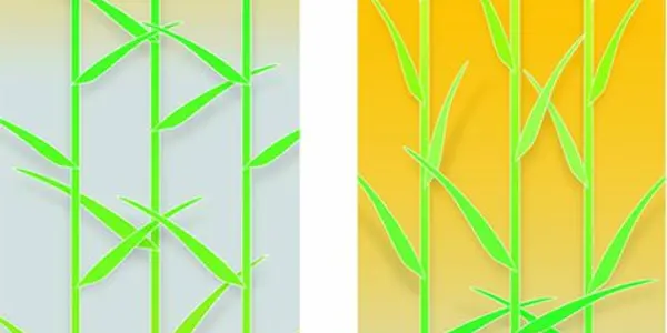 Smart Cornfields: Photosynthesis Hacks Optimize Food