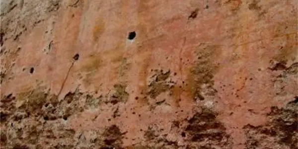 Macabre Medieval Age - Oven Used To Bake Bones For Fortress Walls Discovered