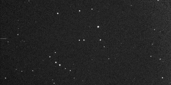 We Survive An Asteroid (Again)