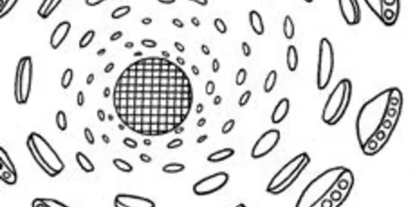 New Science as Relative Quantum Particle Physics