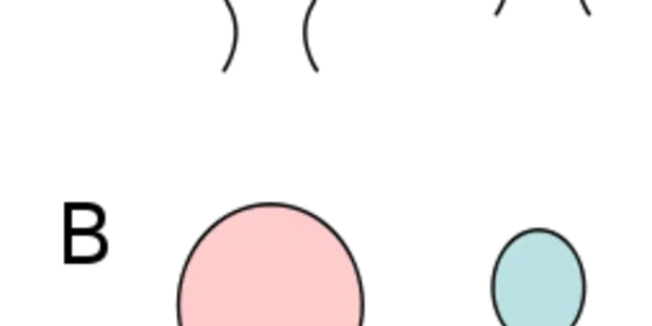 Females Can Limit Male Trait Complexity