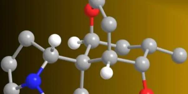 Chinese Medicine Claims Can Soon Be Studied Thanks To Total Synthesis Chemistry