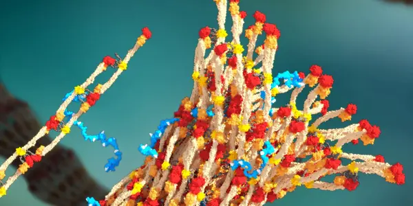 PolySTAT: Injectable Plastic Finds Wound And Stops You From Bleeding Out