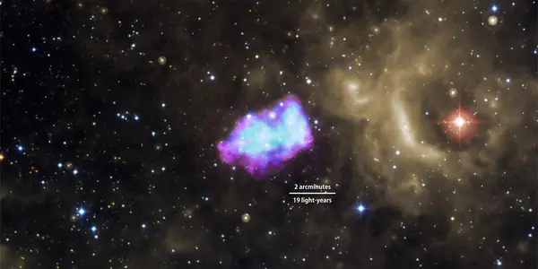 Supernova Crime Scene - The White Dwarf Did It