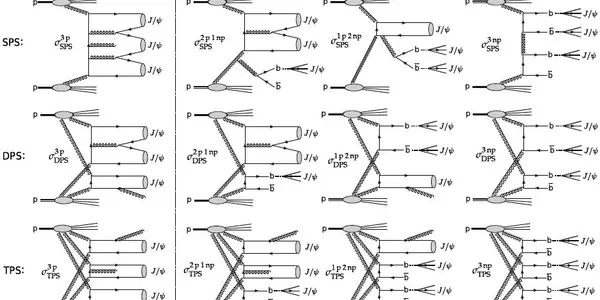 Six-muon Events Probe Proton Collision Dynamics
