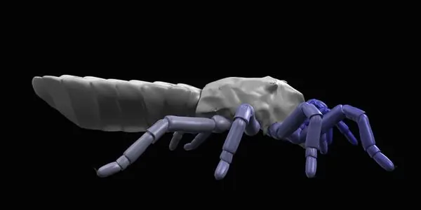 Paleontologists Make 410 Million Year Old Arachnid Walk
