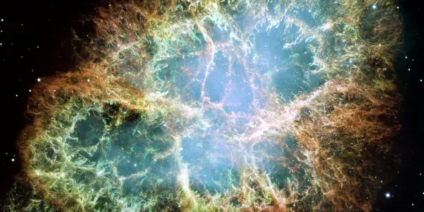 Cosmos, Fox, and Corporate Risk
