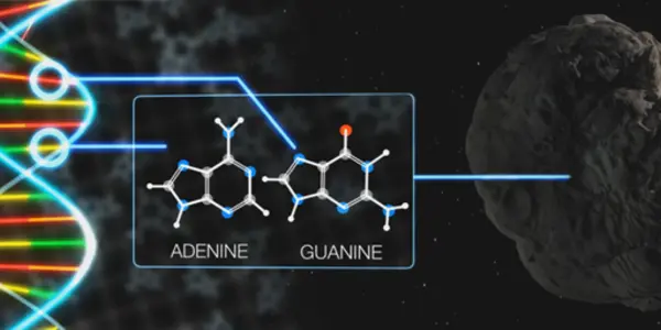 DNA, Made In Space?