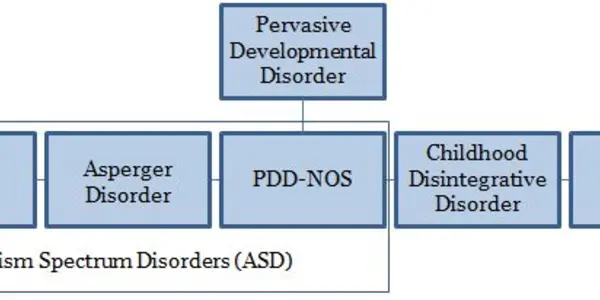 Defining Autism