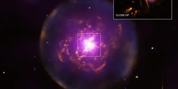 Zombie Star: Sol, This May Be Your Future
