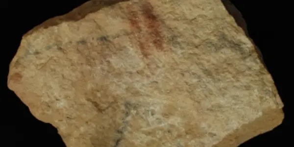 Earliest - Aurignacian Wall Art Is 37,000 Years Old