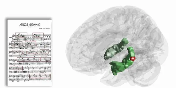 Why Music Boosts Memory - The Hippocampus