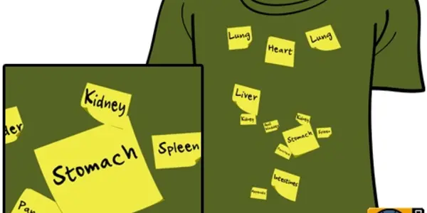 How Well Do You Know Anatomy?
