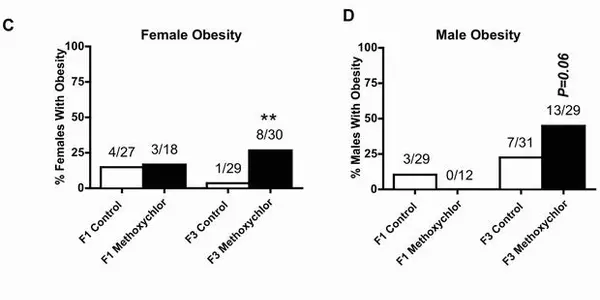 Methoxychlor Pesticide Linked Linked To Ovarian Disease And Obesity 3 Generations Later