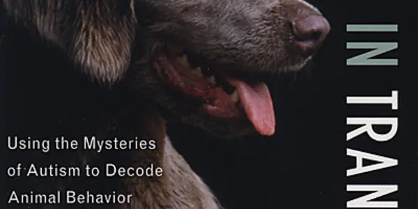 Are Animals Intelligent ... Enough?