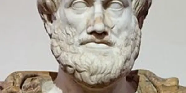 Law, Lies And Logic
