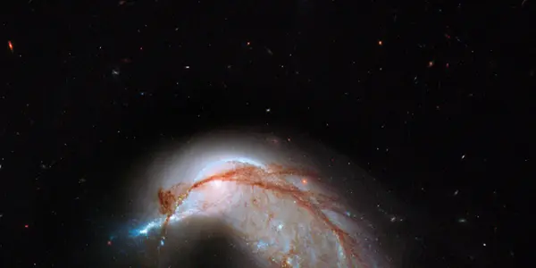 Arp 142: Celestial Bird Takes Flight