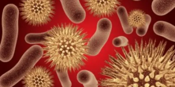 The Microbe “Brain” – Sensory, Neuronal, Attributes of Microbes