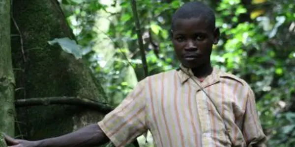 Pygmy Phenotype Adapted To Rainforest, But They're Not All The Same