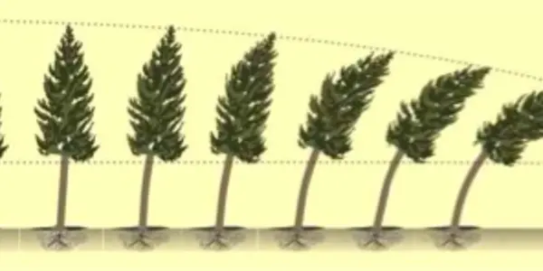 Cosmic Embryo #6: Swaying Trees To Produce Wind Energy